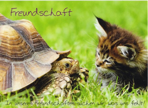 S_Russia_20160825_DE-5512113